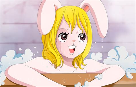 One piece rabbit - Rabbits live on all continents, except Antarctica. They are most prominent in North America, with approximately 50 percent of the entire population living there. Rabbits are one of...